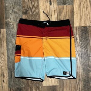 Rip Curl Men's Multicolor Swim Shorts